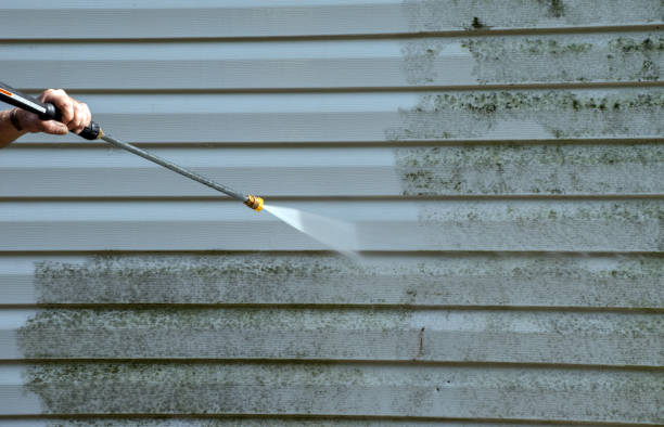 Best Attic Mold Removal  in Ouray, CO