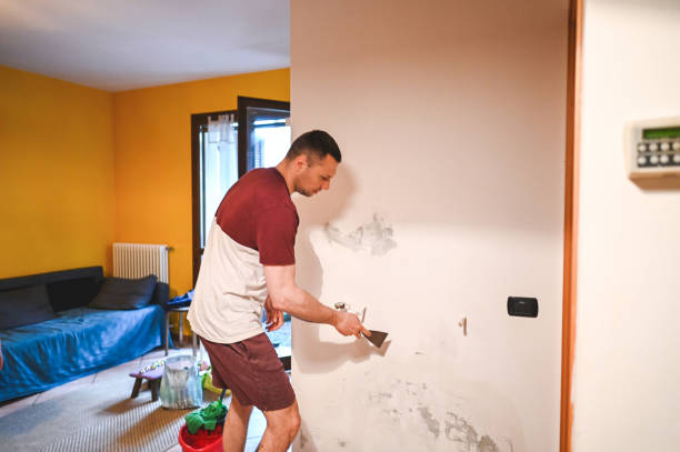 Best Mold Damage Repair  in Ouray, CO